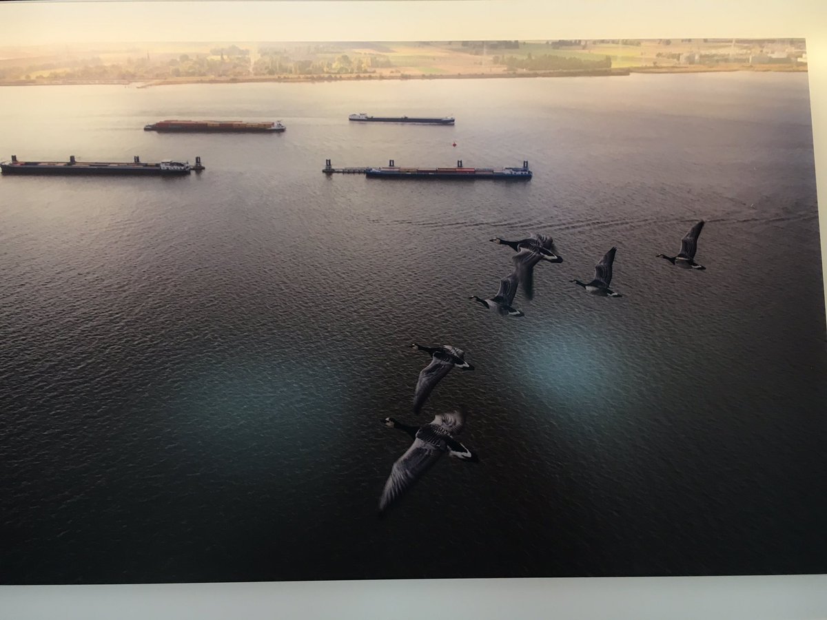 ellenwauters's tweet photo. Iedereen klaar voor veiling van luchtfoto's #copybeest in #mashavenpaviljoen @een Opbrengst naar goed doel @PortofAntwerp https://t.co/2obGUD6SK9