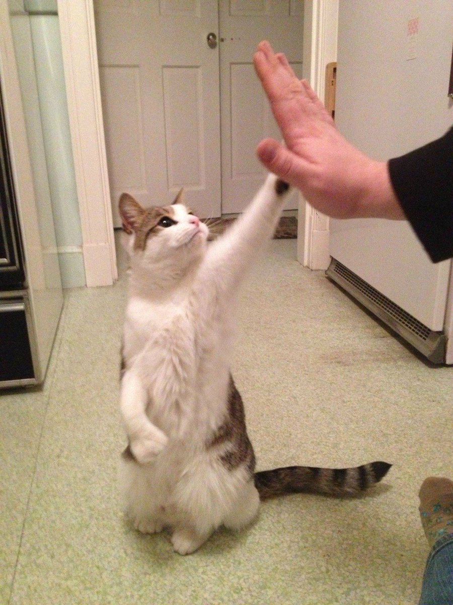 Very nice! High five!