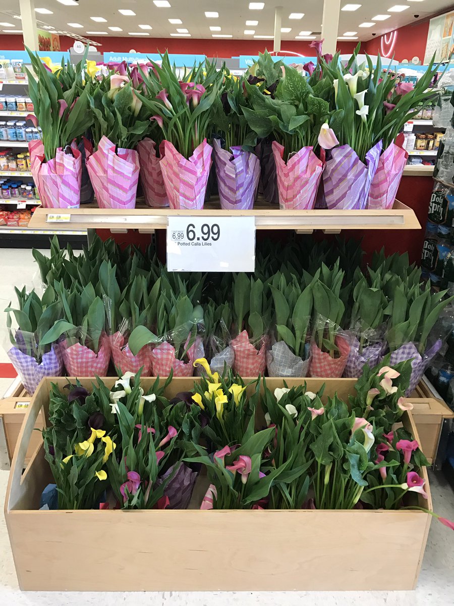 Brookefrmtarget's tweet photo. Growing those Mother's Day sales @Target  #jerseycity #target https://t.co/FmIjRpJCjf