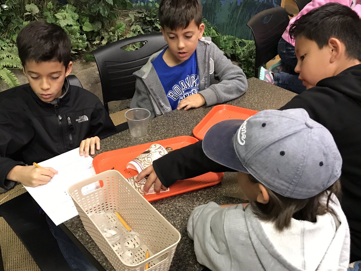 YMcCready_RES's tweet photo. River Legacy Science Center is always a hit! Love exploring with these young scientists! @triciadhanson #RESUnique https://t.co/NcPEzOcj4J