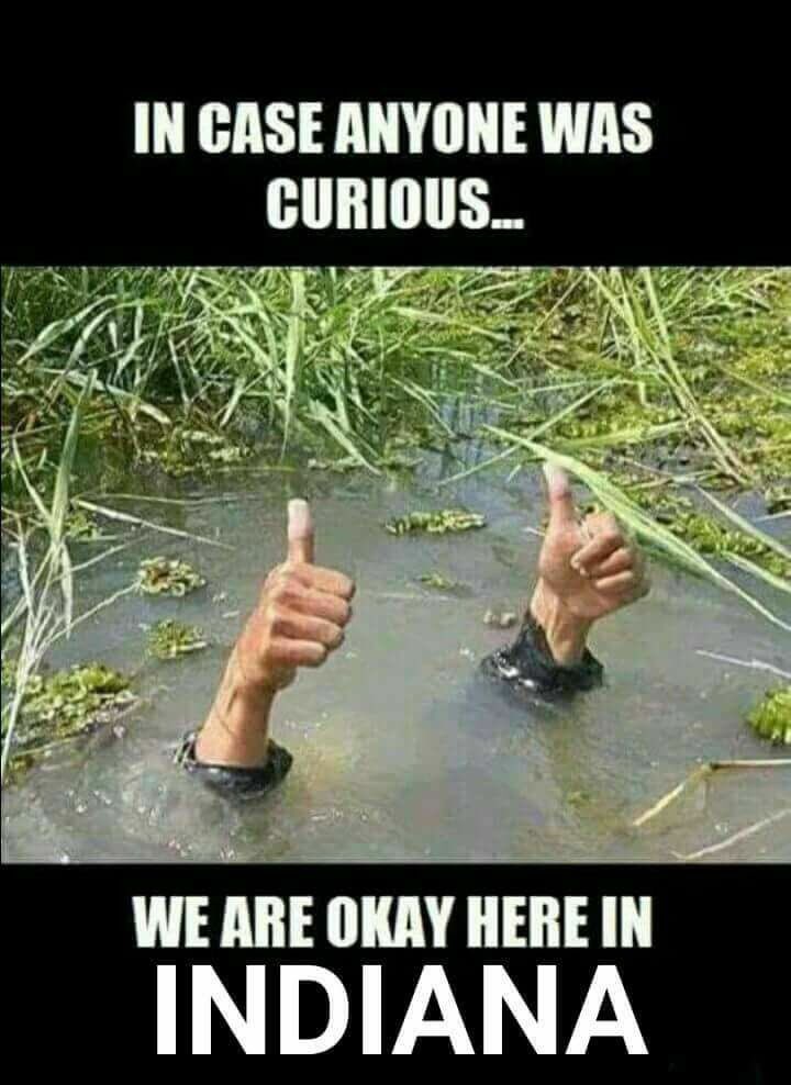 Indiana Girl Probs tweet media