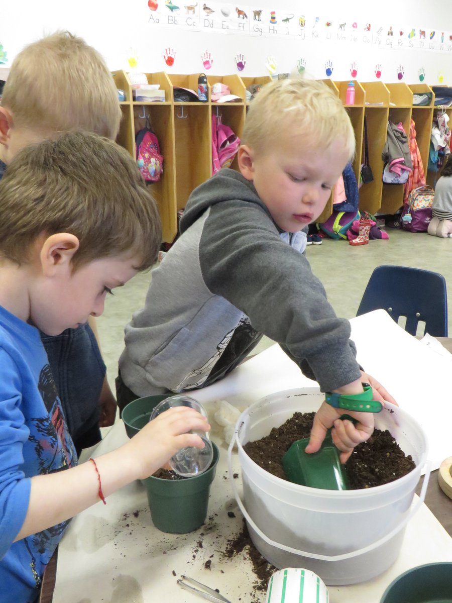 LmcfadyenM's tweet photo. Planting our seeds. #WSDJBM  #kindergarten #jbmlearners https://t.co/cGygVpYdM0
