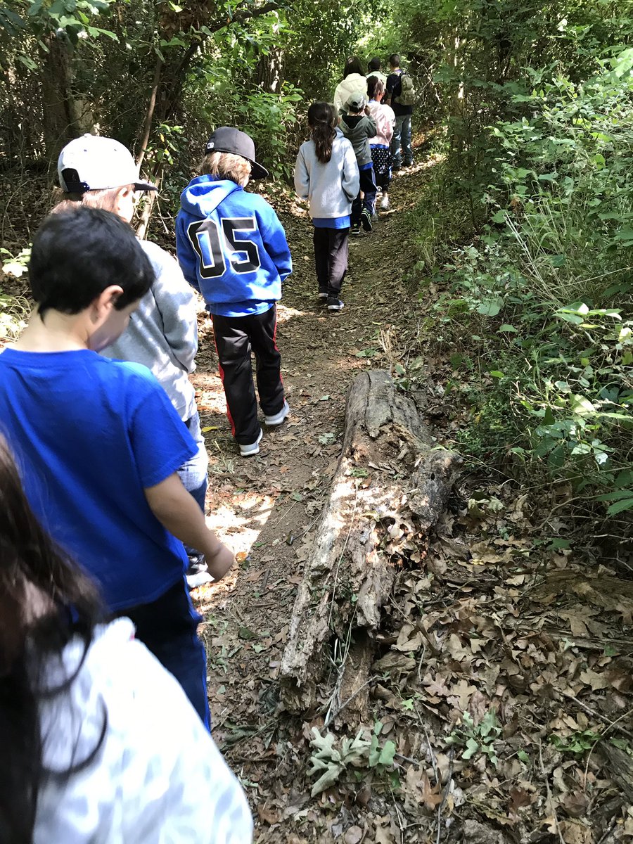 YMcCready_RES's tweet photo. River Legacy Science Center is always a hit! Exploring with these scientists! @triciadhanson #RESUnique @RoanokeRangers https://t.co/XdirEyXpn7