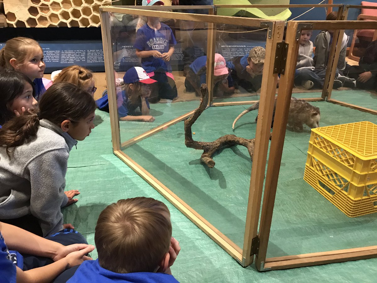 YMcCready_RES's tweet photo. River Legacy Science Center is always a hit! Exploring with these scientists! @triciadhanson #RESUnique @RoanokeRangers https://t.co/XdirEyXpn7