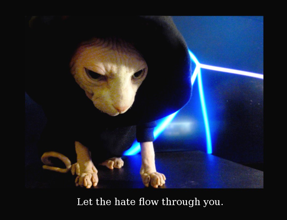 piorocar's tweet photo. #MayThe4thBeWithYou https://t.co/pLyClPY2dL