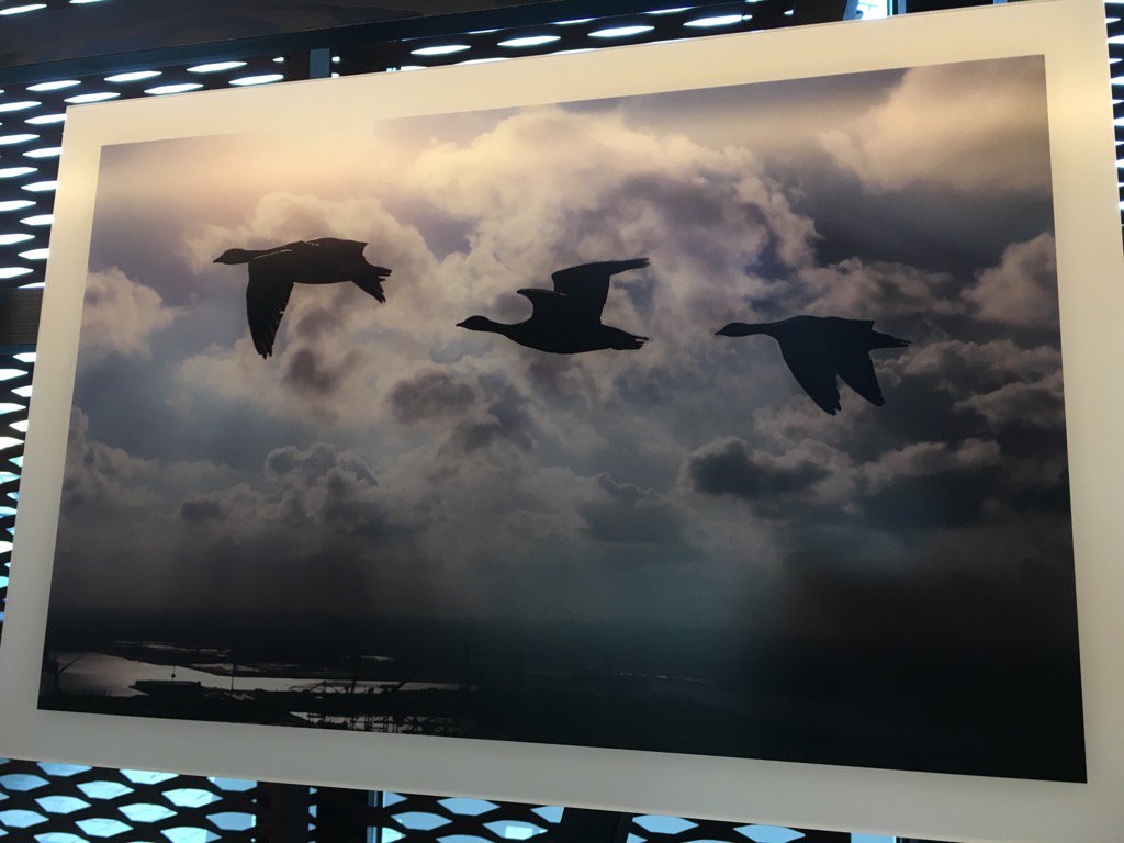 ellenwauters's tweet photo. Spannend, veiling vr prachtige luchtfoto's #copybeest @een gestart. Wie koopt deze foto tvv goede doel? https://t.co/6Gu7PGviG2