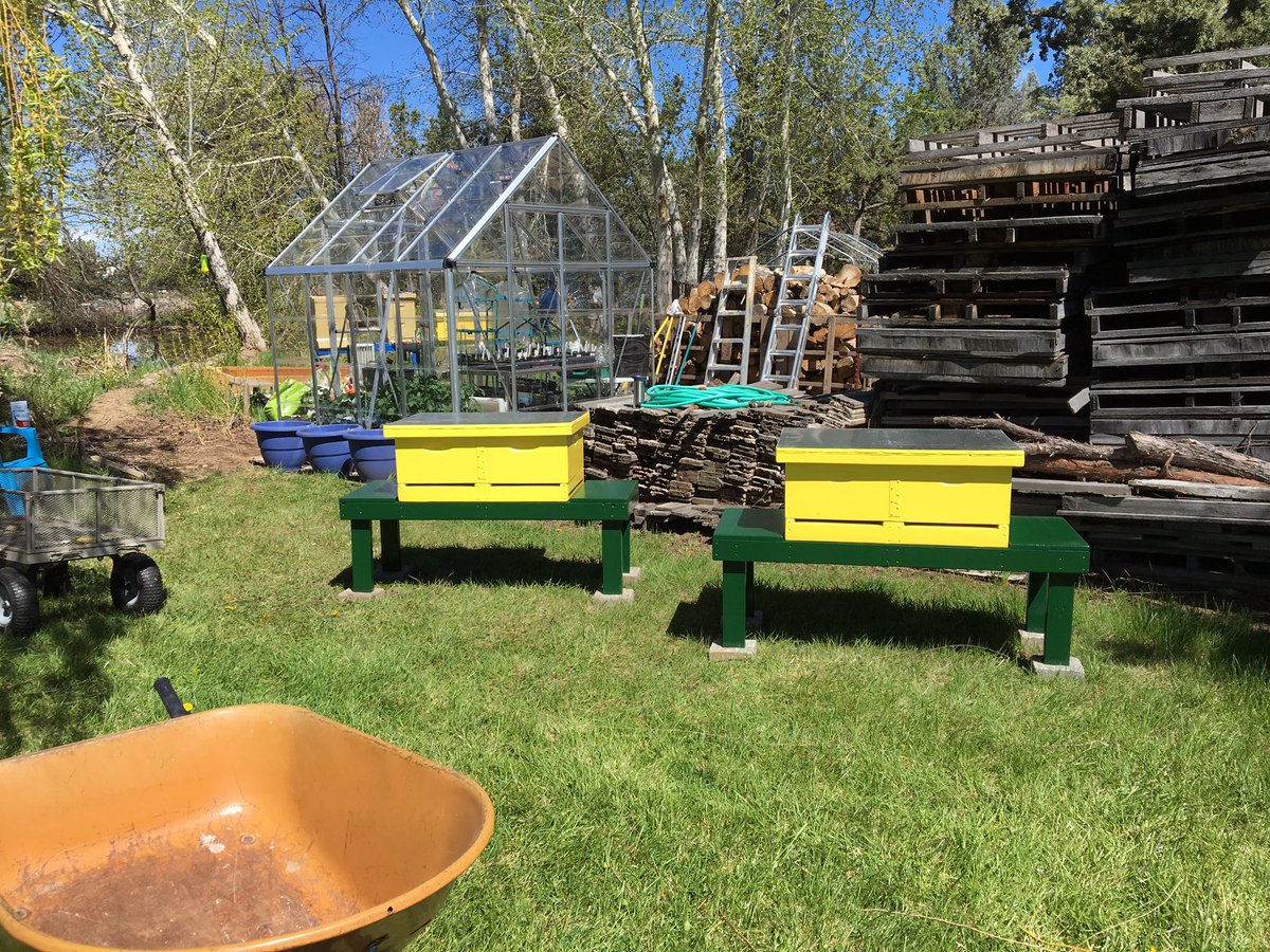 Mistress_Jan's tweet photo. Hubby put together two horizontal hives from some Langstroth boxes. The nucs go in this evening ๐๐๐#bees #BeeProtector https://t.co/LEY25sq570