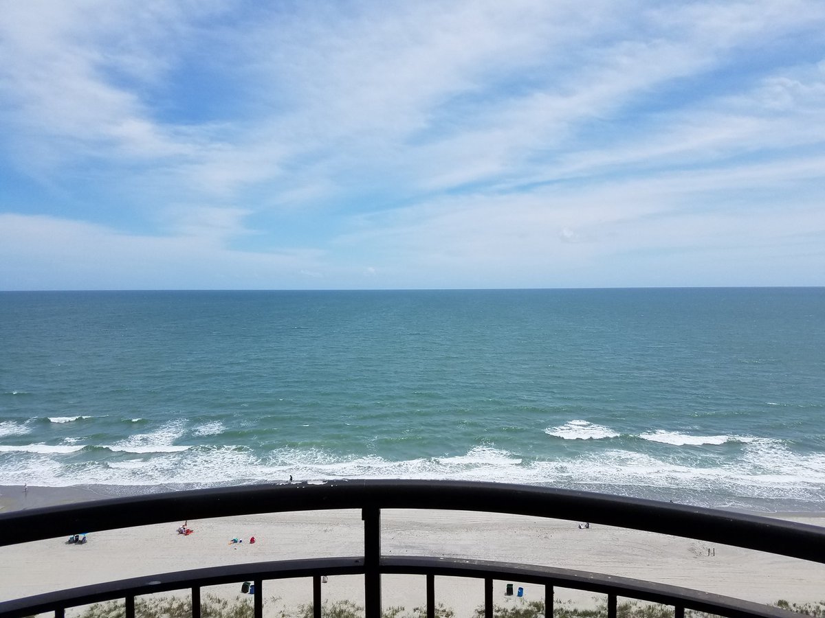 NotoriousHQ's tweet photo. South Carolina is looking beautiful. https://t.co/BYJ5lubizA
