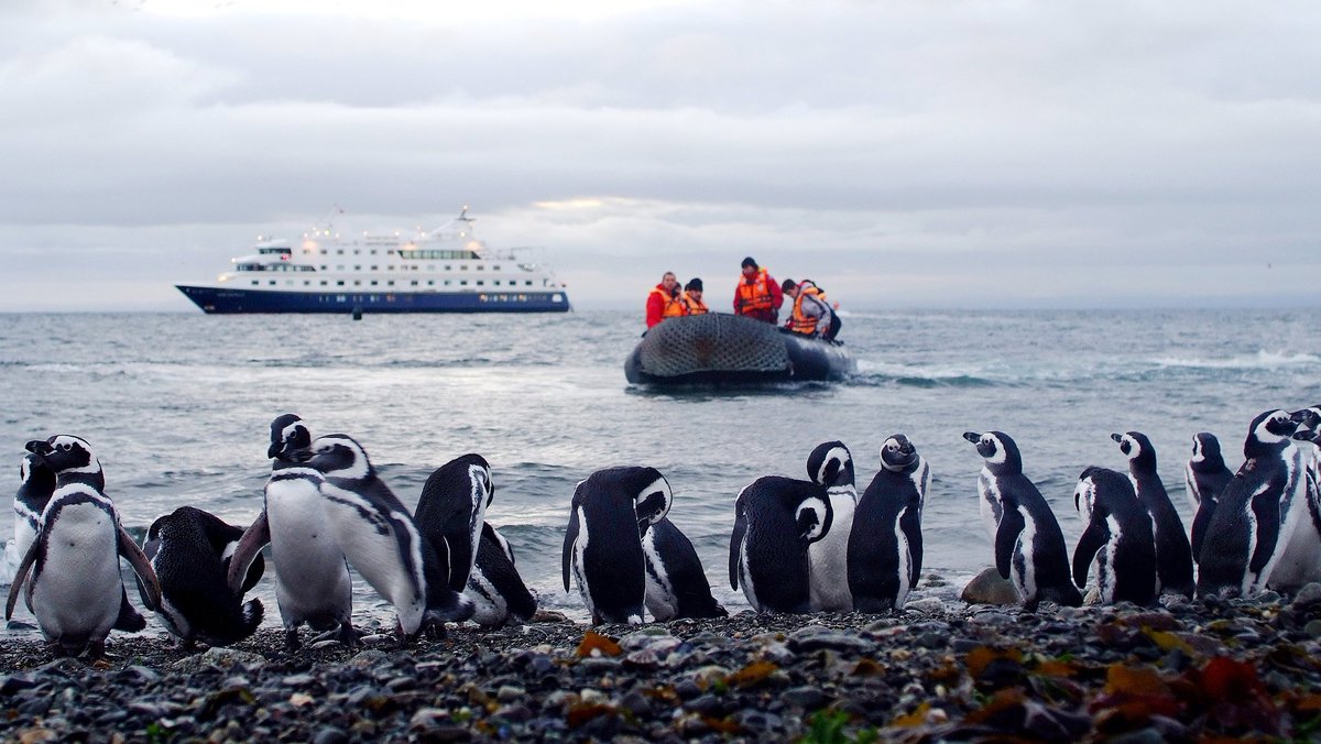 TravelAvanti's tweet photo. Get an insider's perspective on what small ship cruising in Patagonia is really like! #travelavanti #patagonia 
https://t.co/W1Pon4A5dZ https://t.co/IovWlGzkme