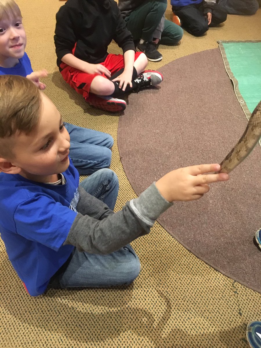 YMcCready_RES's tweet photo. River Legacy Science Center was a hit! Love exploring with these scientists! @triciadhanson @RoanokeRangers #RESUnique https://t.co/nZDw2vhLdN