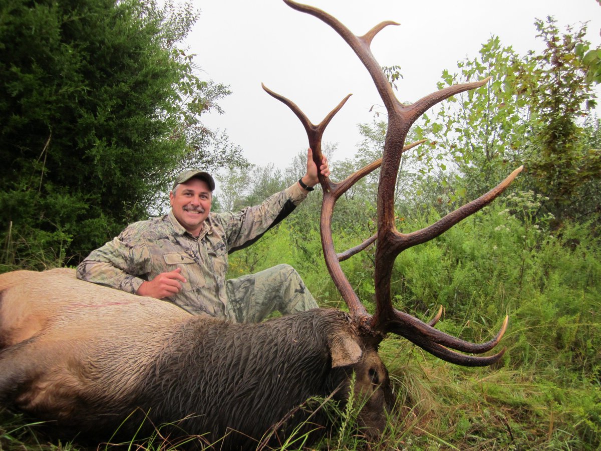 kentucky elk hunting kentucky elk hunting