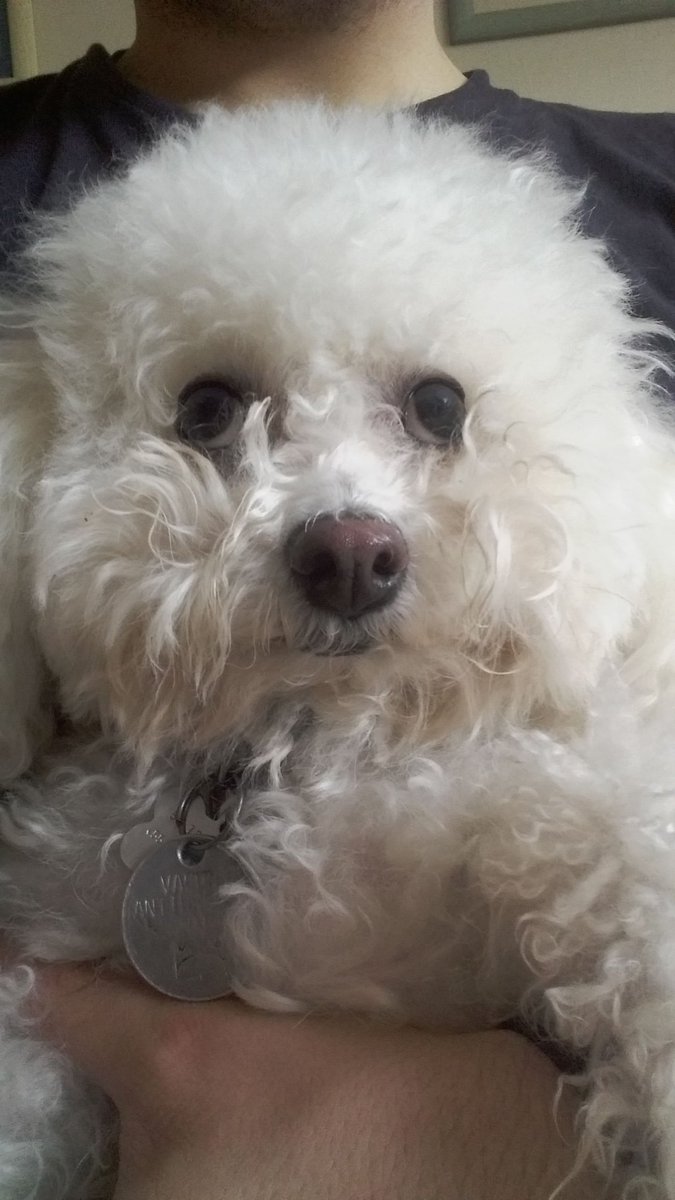 uligran's tweet photo. ¿Cómo me voy a trabajar con esos ojos que no me dejan? https://t.co/igFzX1lKvF