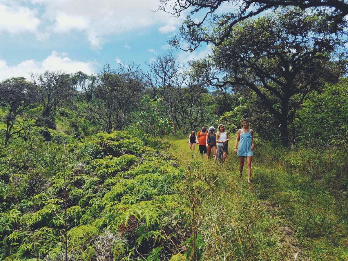 May the Four-rest be with you on this #StarWarsDay
Today we are celebrating <a href="/truemoringa/">True Moringa</a> vow to plant #1mmMoringaTrees in Ghana in 2017!