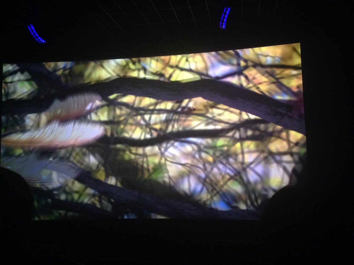 carolinadejove's tweet photo. Cuando el sonido es bueno, escuchar cómo cae una hoja se vuelve una experiencia maravillosa. #cierralosojosySIENTE
#BarraLibreCine https://t.co/vxXuWxVl4v