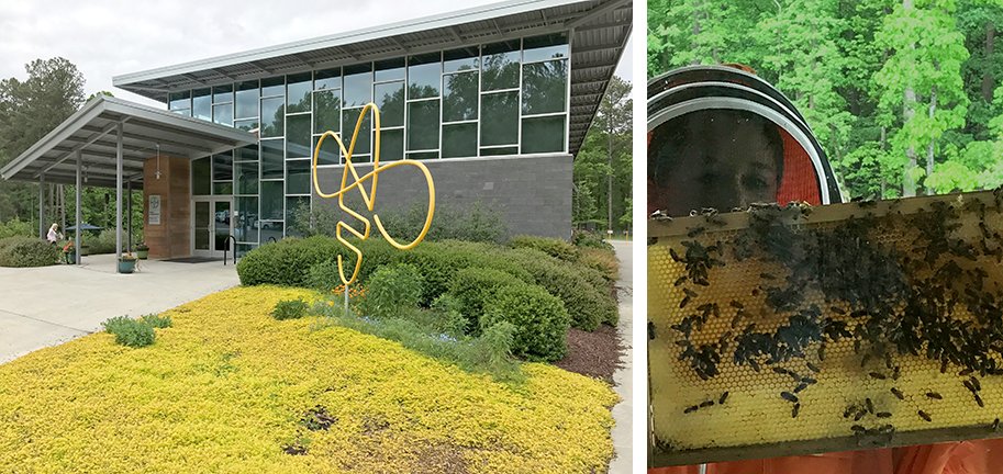 BHDP's tweet image. Crops depend on pollination. #2017LDC got an up-close look at bee research @BayerBeeCare, designed by BHDP. #savebee
bit.ly/2pKZbzw