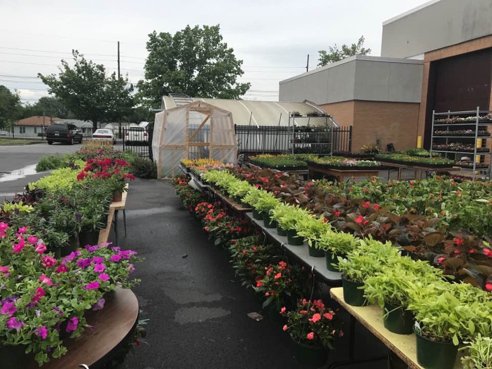 dbhs_ffa's tweet photo. Plenty of gorgeous plants left at the DB greenhouse...Only a few ferns though so let me know if you need them! #OneTribe https://t.co/F78vjwuBRG