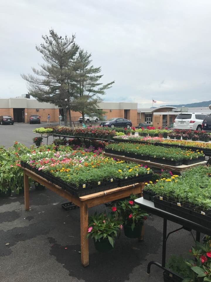 dbhs_ffa's tweet photo. Plenty of gorgeous plants left at the DB greenhouse...Only a few ferns though so let me know if you need them! #OneTribe https://t.co/F78vjwuBRG