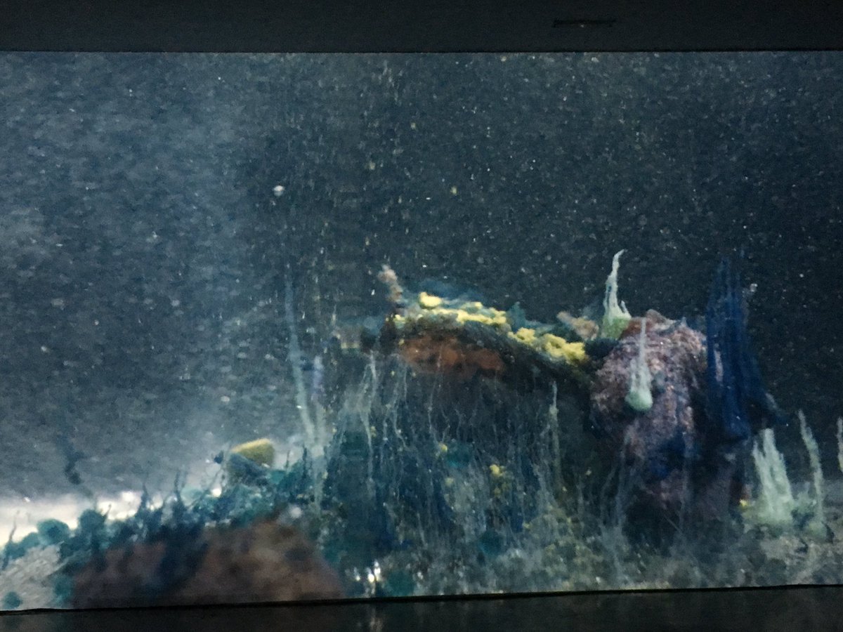 LaCasaEncendida's tweet image. Una pecera en la que Hicham Berrada y Laurent Durupt hacen arte y música a partes iguales. #ExpoTransmissions