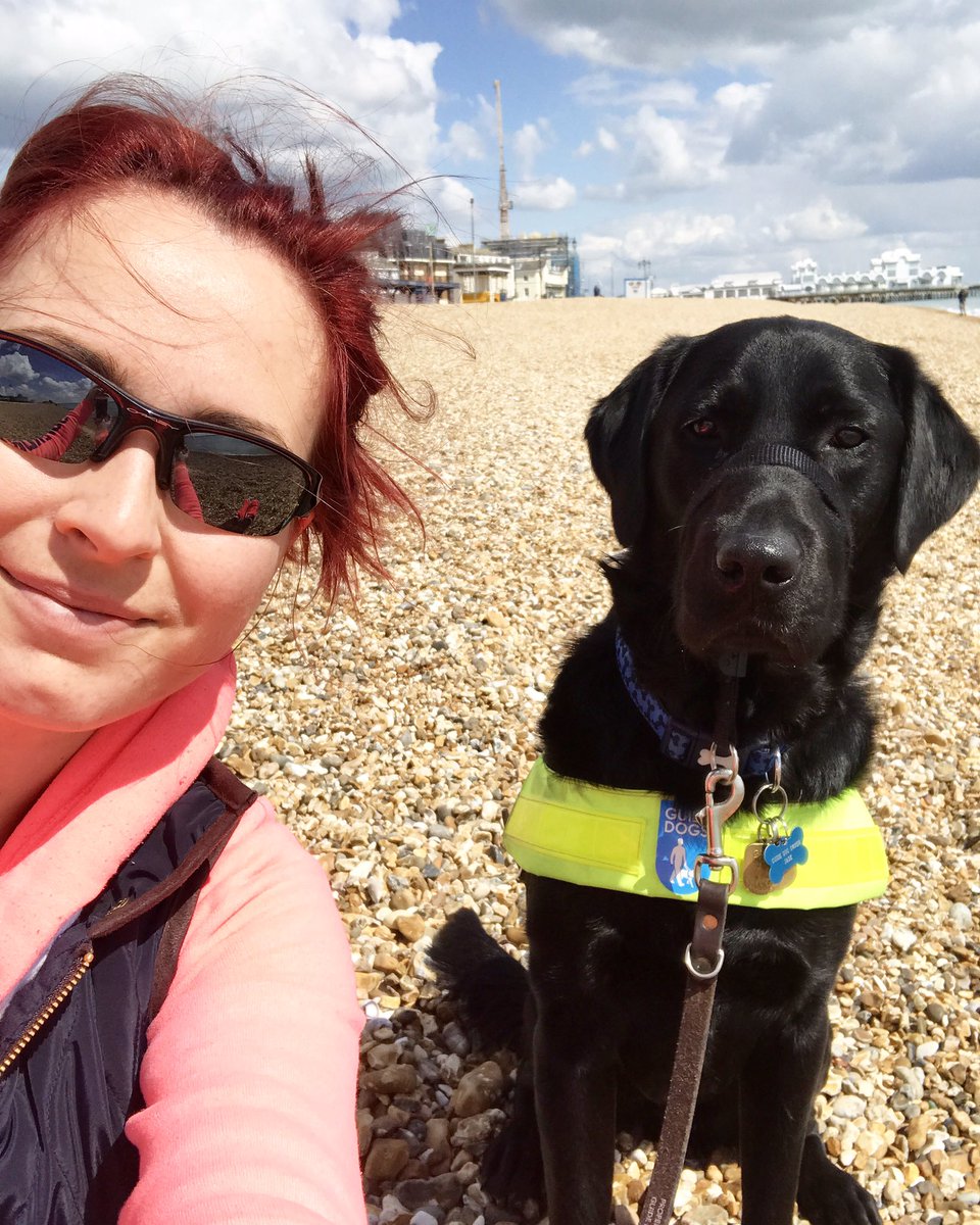 jadeylou93's tweet photo. The human took me to the sea! #guidedogtoffee #guidedogs #guidedog #Portsmouth #fun #dogsoftwitter #doglovers #GDFamily #GDsofTwitter # https://t.co/eOxtOYyX7f