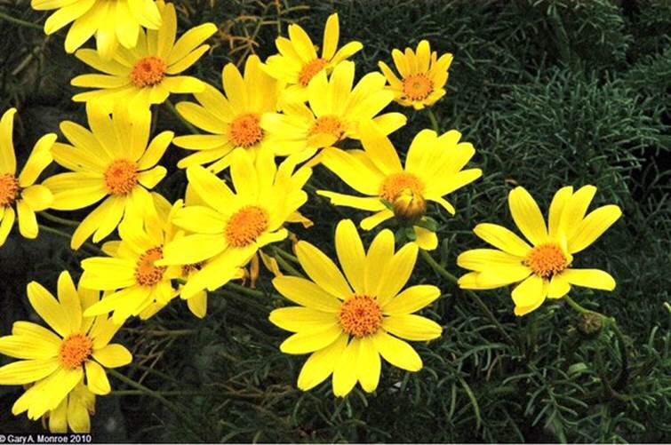 Natural Resources Conservation Service tweet media