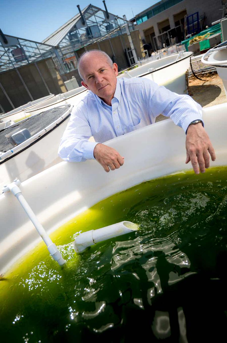 FoodFuel21's tweet photo. UC San Diego Scientists Complete First EPA-Approved Outdoor Field Trial for Genetically Engineered Algae. https://t.co/LVYjqLebeZ https://t.co/vaT8rMkGxp