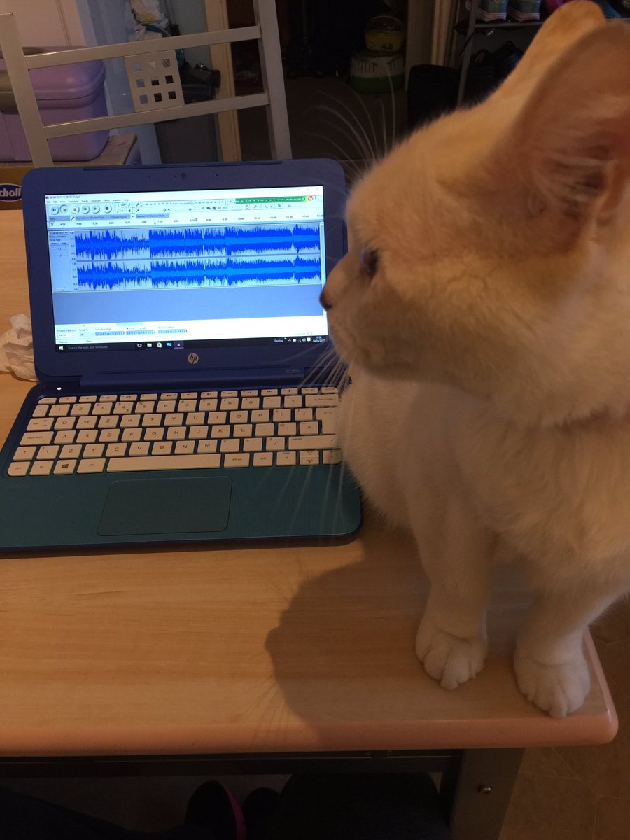 SarahApplebyUK's tweet photo. Trying to edit Sundays show and this is the problem I have each time sat in front of me ! 🙄 #audacityissues https://t.co/HP8LoB6ej2