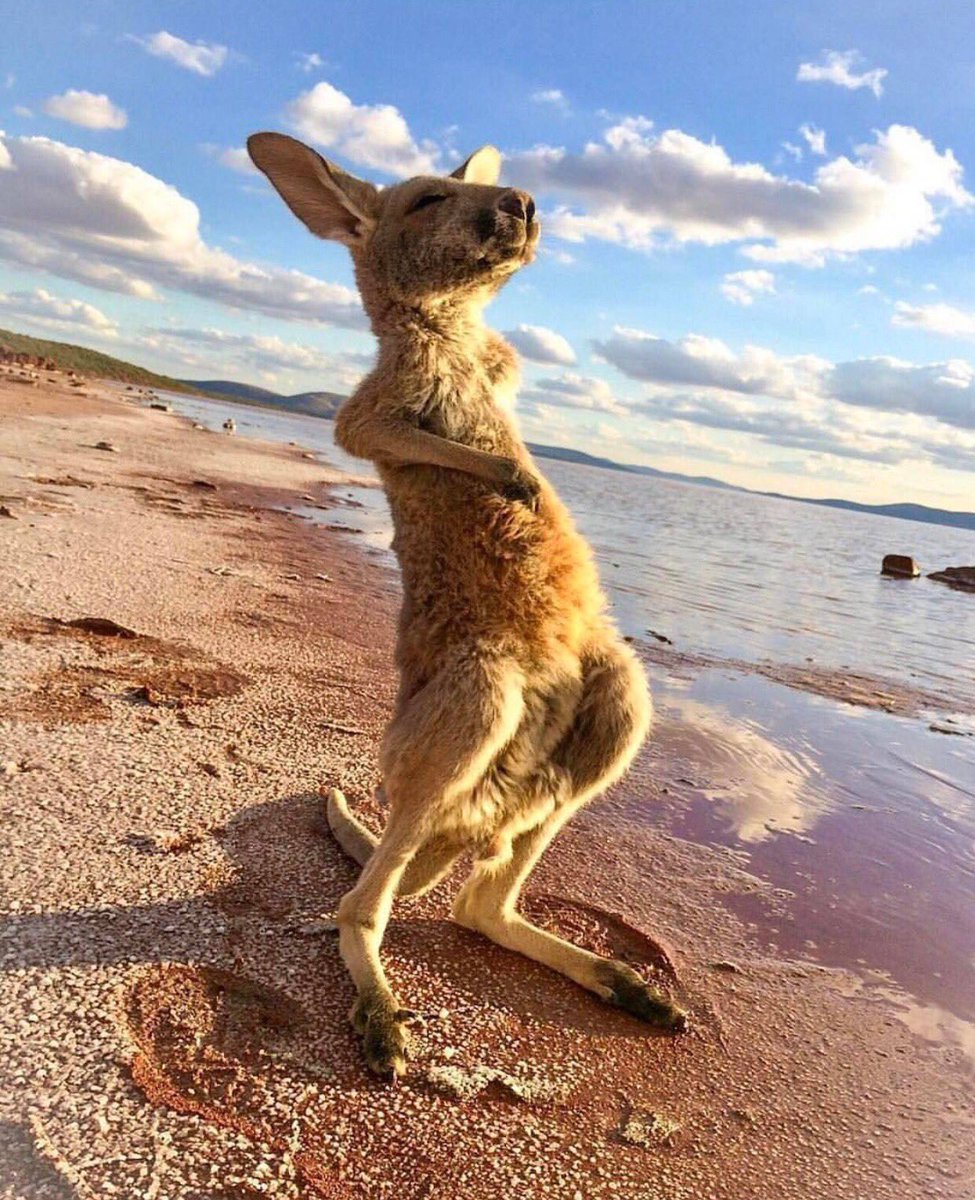 NatureOnPoint's tweet image. 