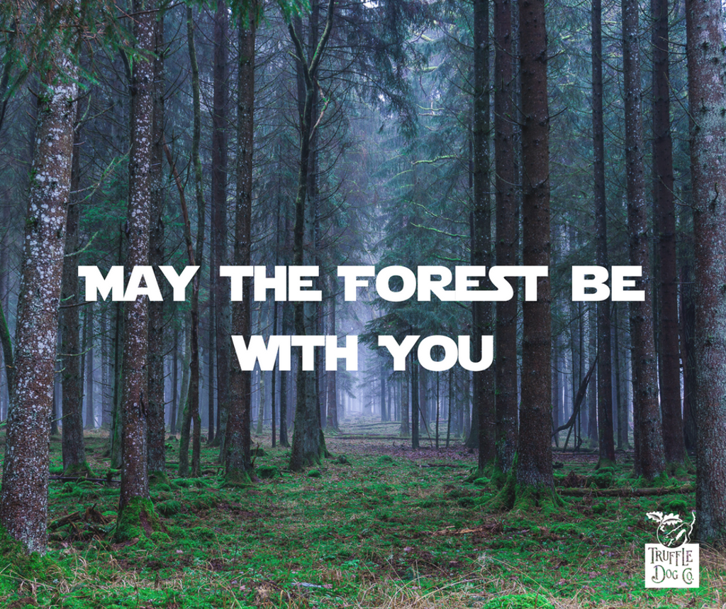TruffleDogCo's tweet photo. Happy May 4th! Today we celebrate the #forest and offer our respect for that great ecosystem, and everything it has to offer. https://t.co/TWKDkvkv3q