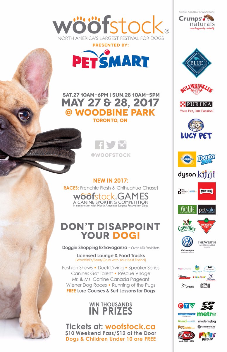 bickmitchum's tweet photo. @woofstock woofaroni https://t.co/d22kGObxn4