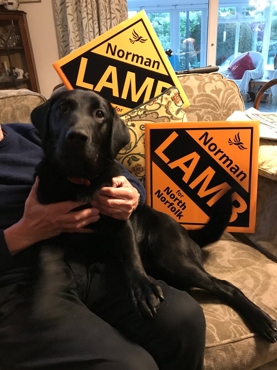 alanrose445's tweet photo. Am I old enough to vote for @normanlamb?? I am working hard putting out posts to spread the word "vote Norman Lamb". https://t.co/jniBGaXya8