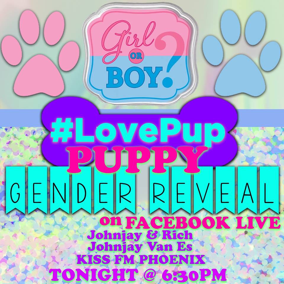 JohnjayVanEs's tweet image. TONIGHT!!  We will be streaming it @ 630PM via Facebook Live, simultaneously, from TWO different pages!!  IT'S A CELEBRATION!!  #LovePup 🎉🎊🎏