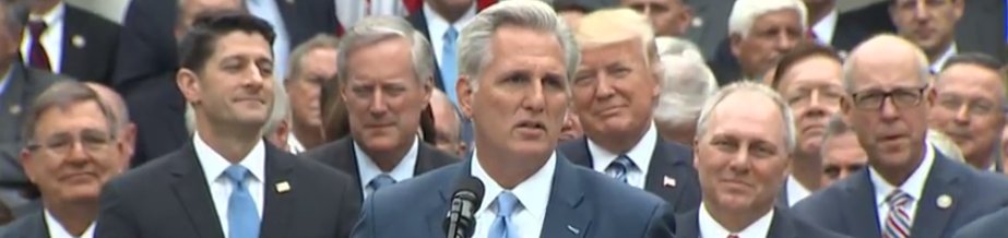 _daachi's tweet image. such diversity