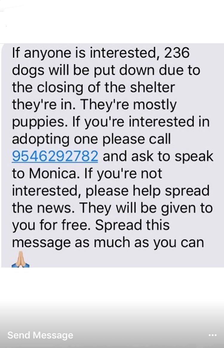_maggiecl's tweet photo. Please spread the word 😢🐶 https://t.co/5YjFVYgvUq
