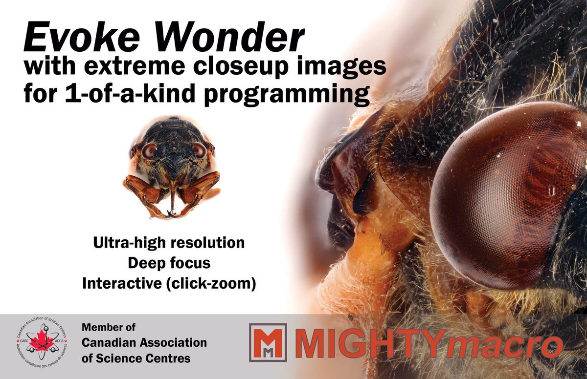 DougAngusLee's tweet image. Hi @Jarrett_Sherman See you at #CASC2017. Pls swing by Booth 15 for your free #macrophotography session for @Digital_Howard #letsplayscience