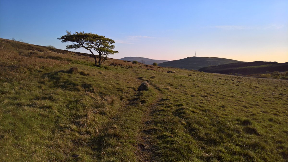 Watching out for the Springbock eh! #cavehillsavannahtree