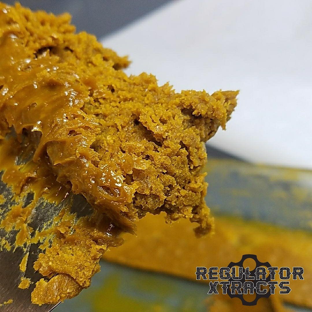 Regulator Xtracts (Regulator_710) Twitter