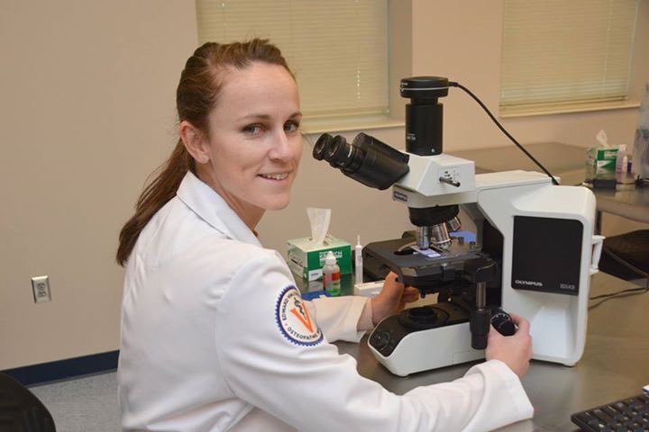 HUMANSofVCOM's tweet photo. Meet Danielle McCullough, PhD, Assistant Professor for Anatomical Sciences @VCOMAuburn! https://t.co/d1vE5Dgqw7 https://t.co/r7OiXCxh8I