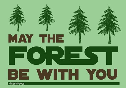 Protect our planet, we must 🌲🌲   
 ln.is/Nkt2H #Maythe4th #StarWarsDay by #mirela_holy via <a href="/c0nvey/">Convey</a>