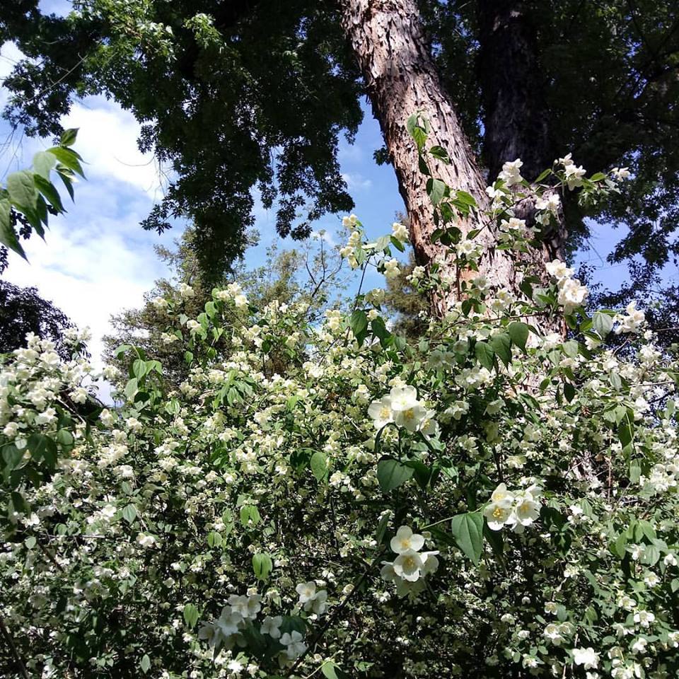 Excited to see my friend's contemporary dance performance tonight at University of <a href="/UCRiverside/">UC Riverside</a>! #Dance #contemporarydance