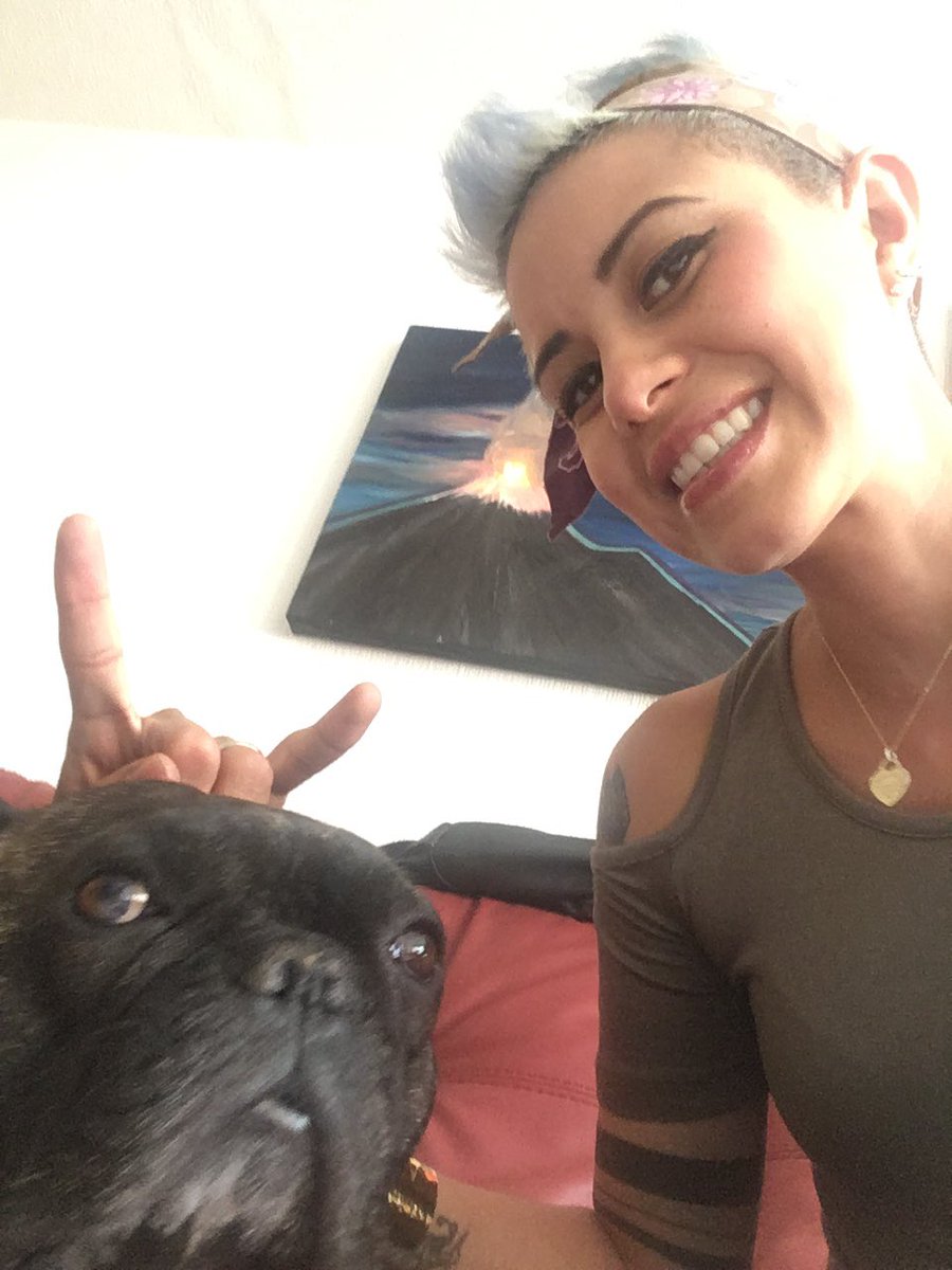 yagore85's tweet photo. #frenchie https://t.co/7KVO1kzPQI