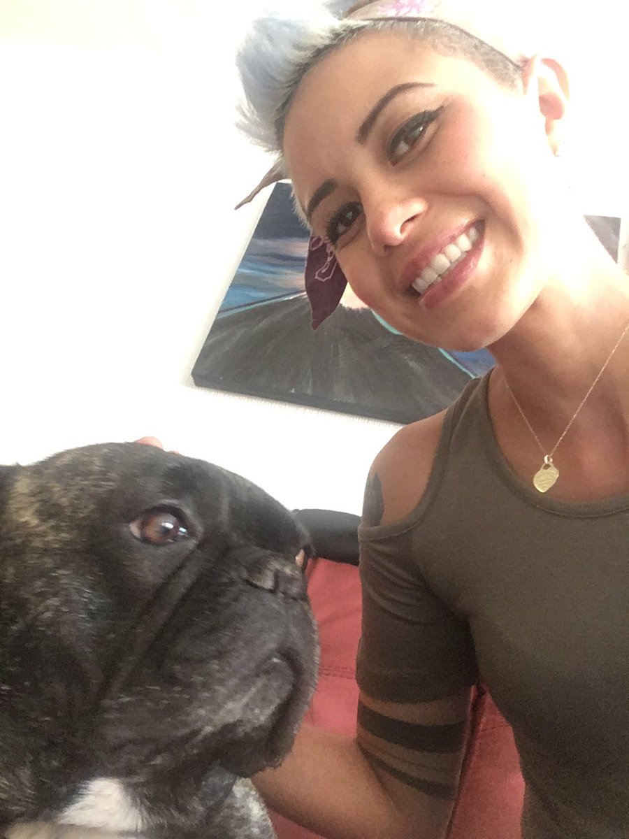 yagore85's tweet photo. #frenchie https://t.co/7KVO1kzPQI