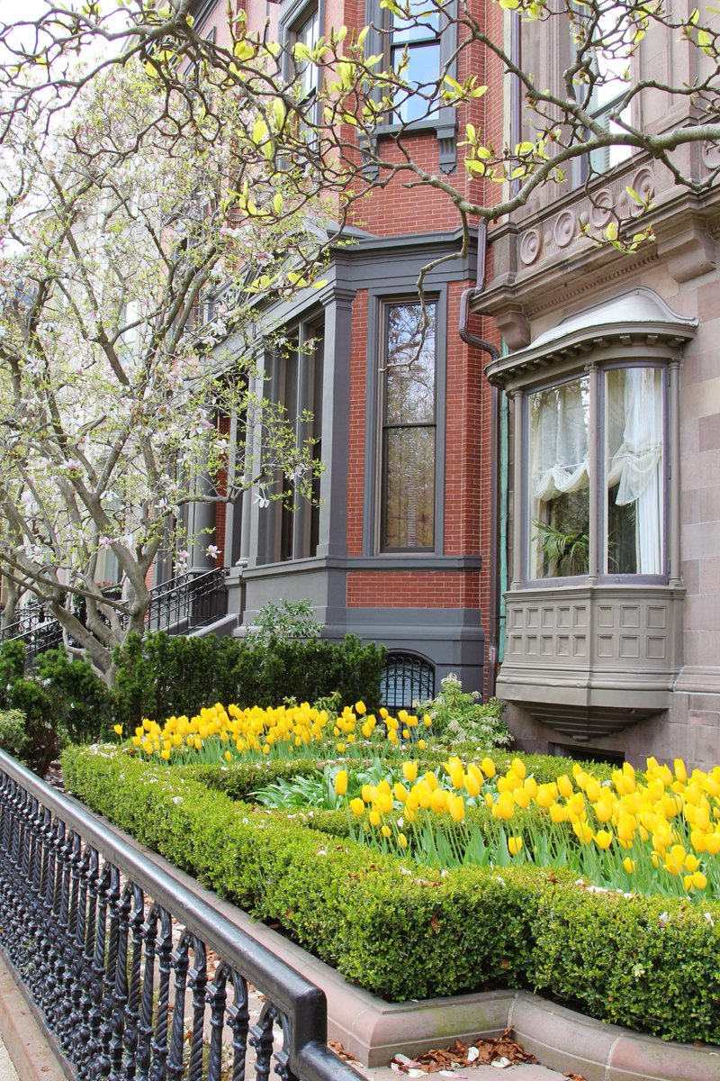 NE_Living's tweet photo. Spring in Boston.🌷#boston #newengland https://t.co/iFrCkYLVob