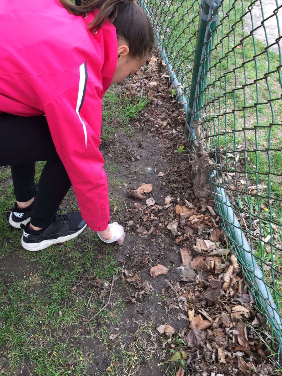 MsAzodi's tweet photo. Bessborough community clean up Day. Helping out the ECO-Club! https://t.co/NpaMlkhcWZ