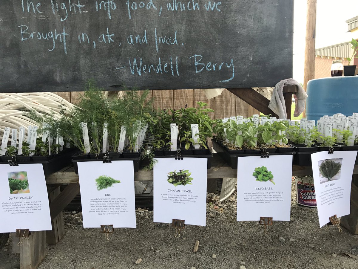 CFC_Grows's tweet photo. Spring plant sale is ON! Come by Fairfield Middle anytime between now &amp; 7:30 for food, music, and fun! #rva #henrico https://t.co/s6rY4IswtB