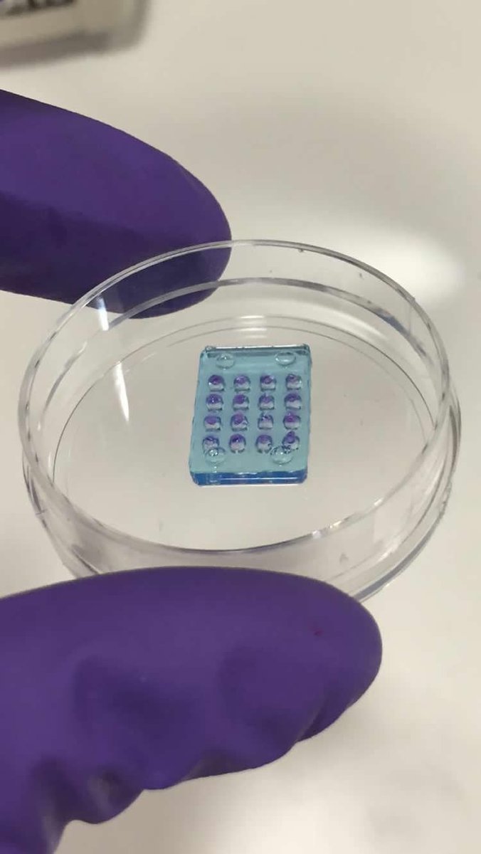 First Synthetic Retina For the Visually Impaired Created neurosciencenews.com/synthetic-reti… #vision #bioengineering #neuroscience #science