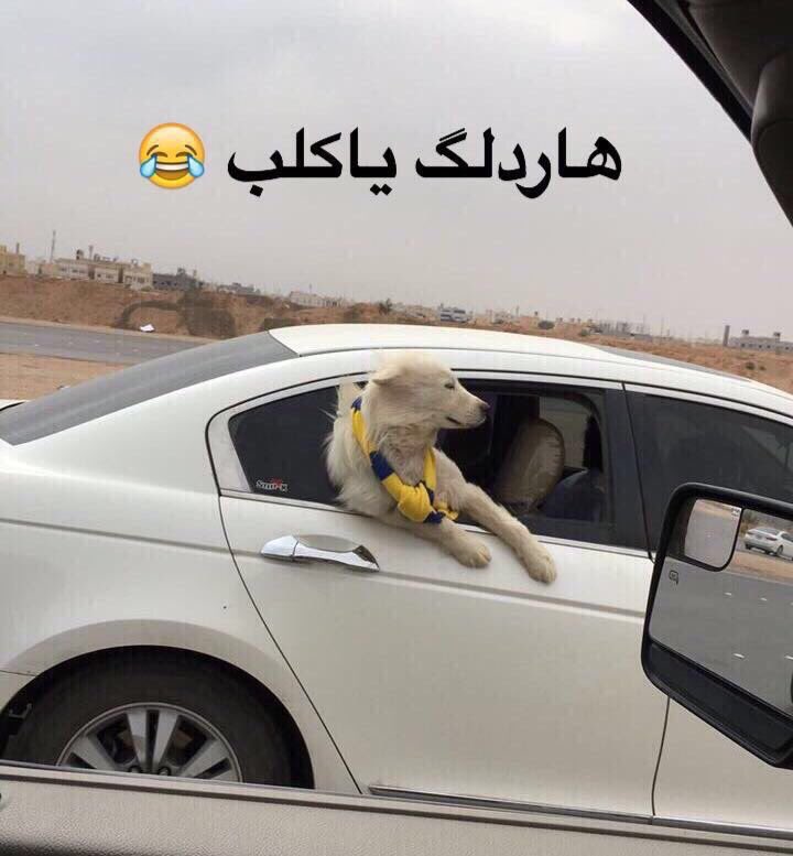 rshed_abo's tweet photo. #الهلال_النصر https://t.co/OCFZ9hcBBG