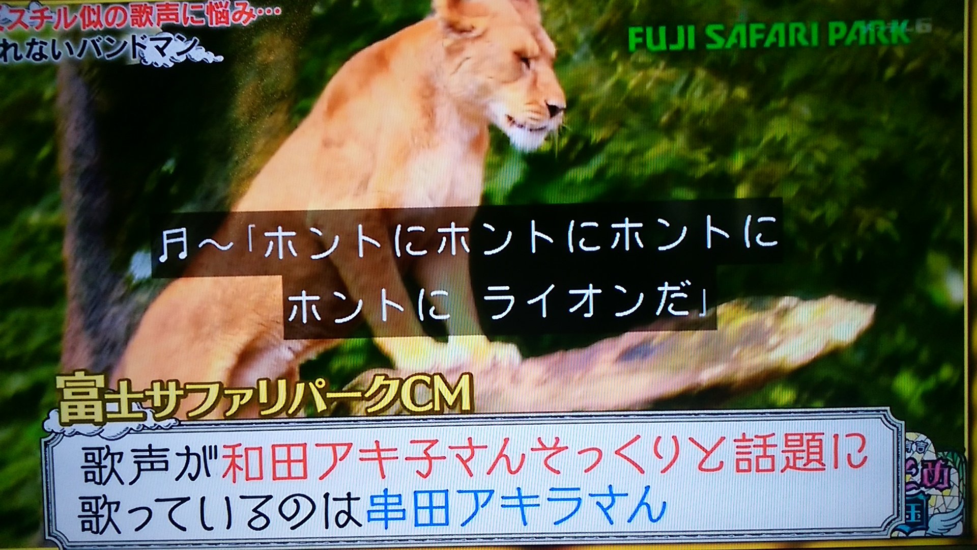 シバズケ 和田アキ子さんと串田アキラさんの歌声が似ている 子供の頃 キン肉マンの再放送を見ていたら 母親が この歌 キン肉マンgo fight 和田アキ子が歌ってるの っと言われてビックリした事を思い出す 笑 かりそめ天国 和田アキ子 シバズケ 和田アキ子さんと串田アキラさんの歌声が似ている 子供の頃 キン肉マンの再放送を見ていたら 母親が この歌 キン肉マンgo fight 和田アキ子が歌ってるの っと言われてビックリした事を思い出す 笑 かりそめ天国 和田アキ子