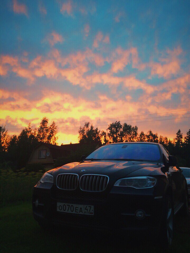 lizoonLeva's tweet photo. 😻🌄🔙 https://t.co/bny6Ei5XHi