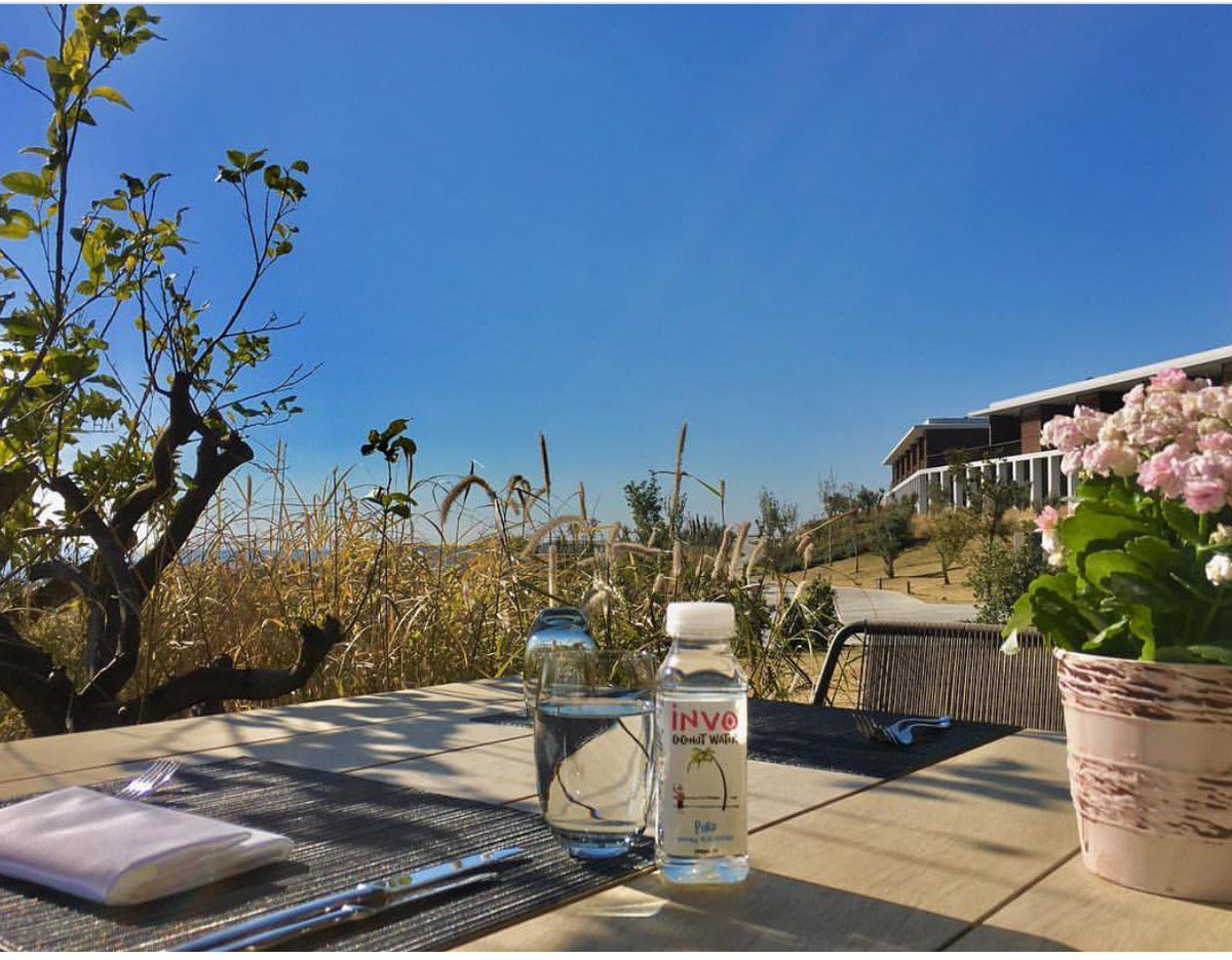 invococonut's tweet image. We can't imagine a better view! #INVOFresh