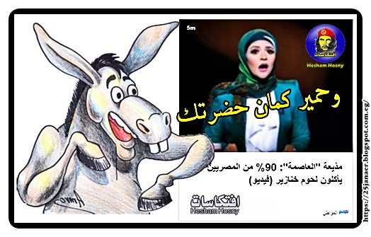 مذيعة "العاصمة": 90% من المصريين يأكلون لحوم خنازير و حمير كمان حضرتك